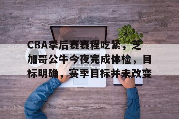 开元棋牌-CBA季后赛赛程吃紧，芝加哥公牛今夜完成体检，目标明确，赛季目标并未改变